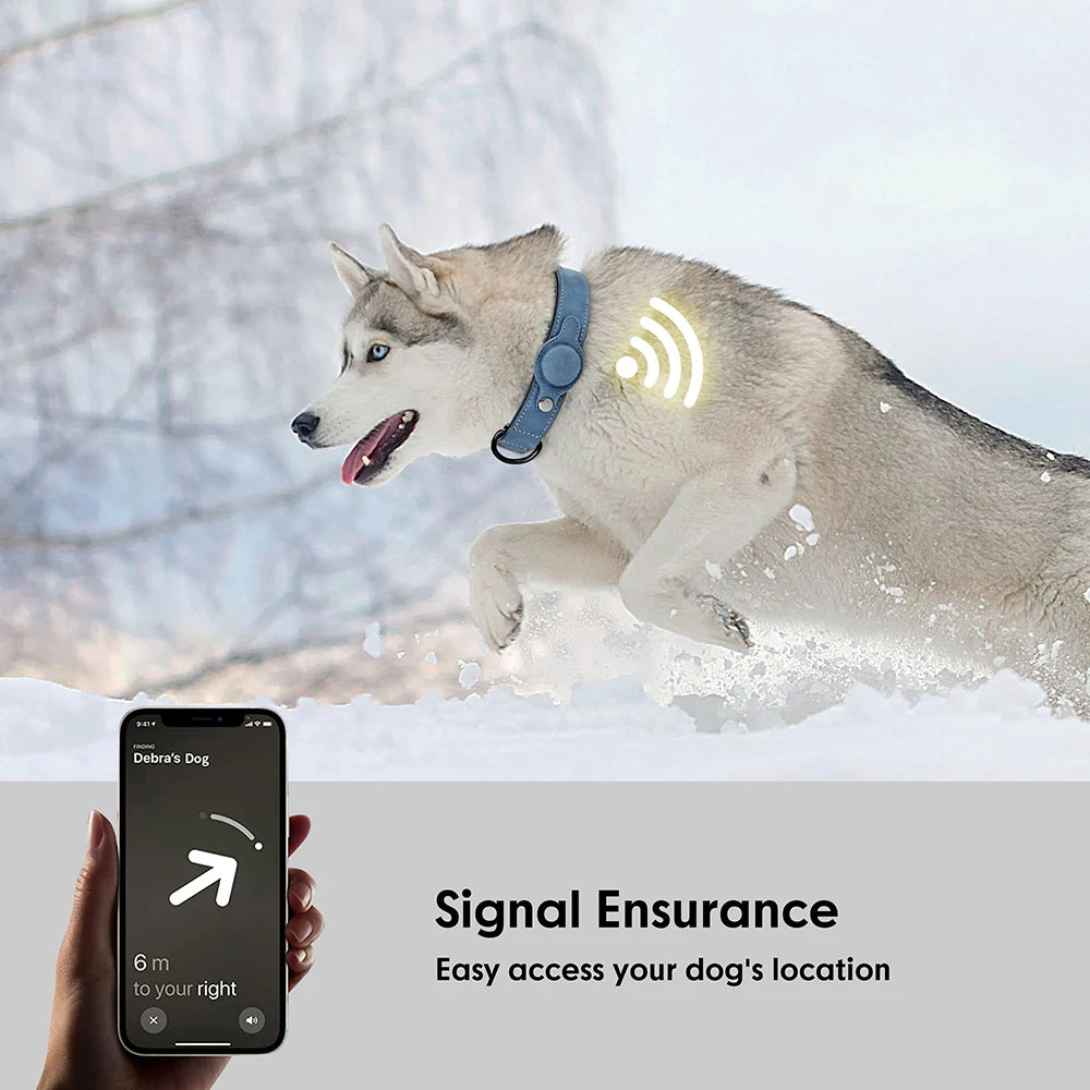 GPS Tracking Adjustable Dog Collar