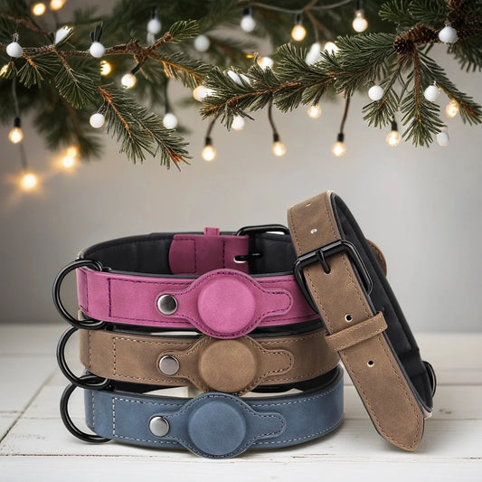 GPS Tracking Adjustable Dog Collar