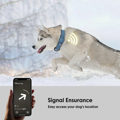 GPS Tracking Adjustable Dog Collar
